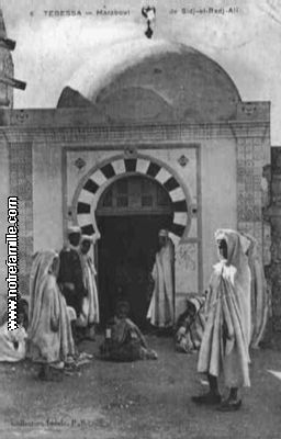 كتاب أثر الطريقة الصوفية في الحياة الإجتماعية لأعضائها