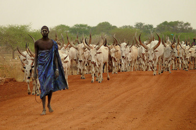 البعد الأنثروبولوجي في “رحلة السودان”