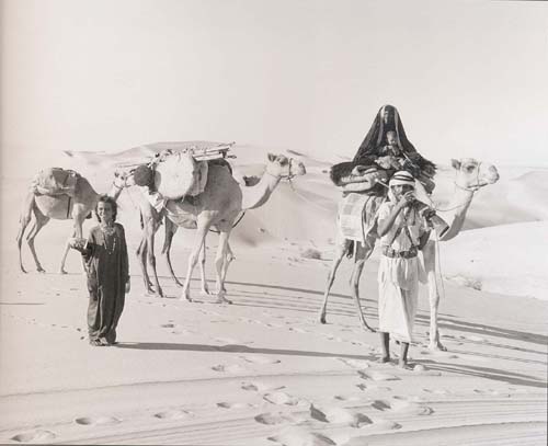أحمد أبوزيد والبداوة في الوطن العربي
