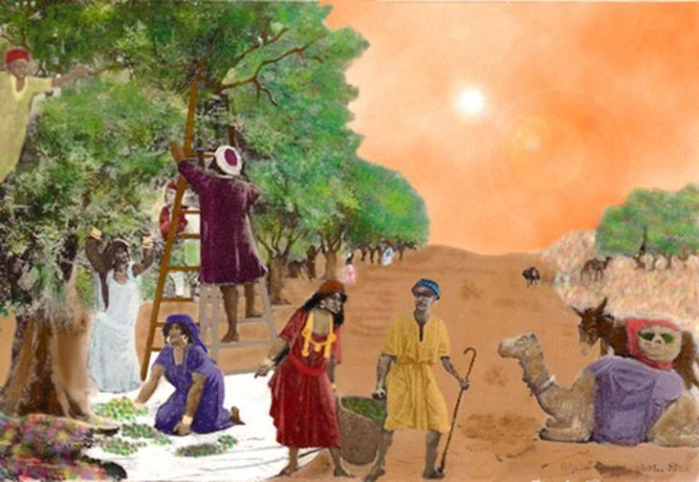 شجرة الزيتون صفاقس