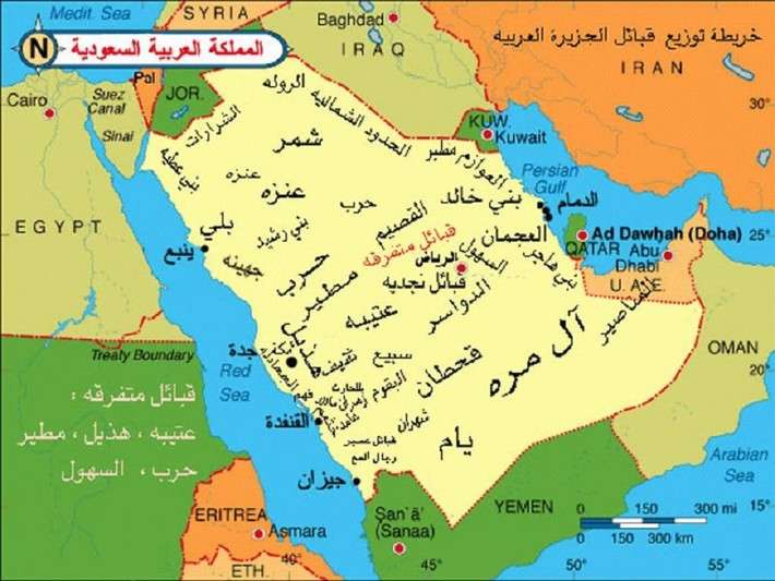 أرقام القبائل وأزمة الهويات الفرعية